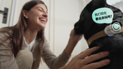 包罗“我饿了”“